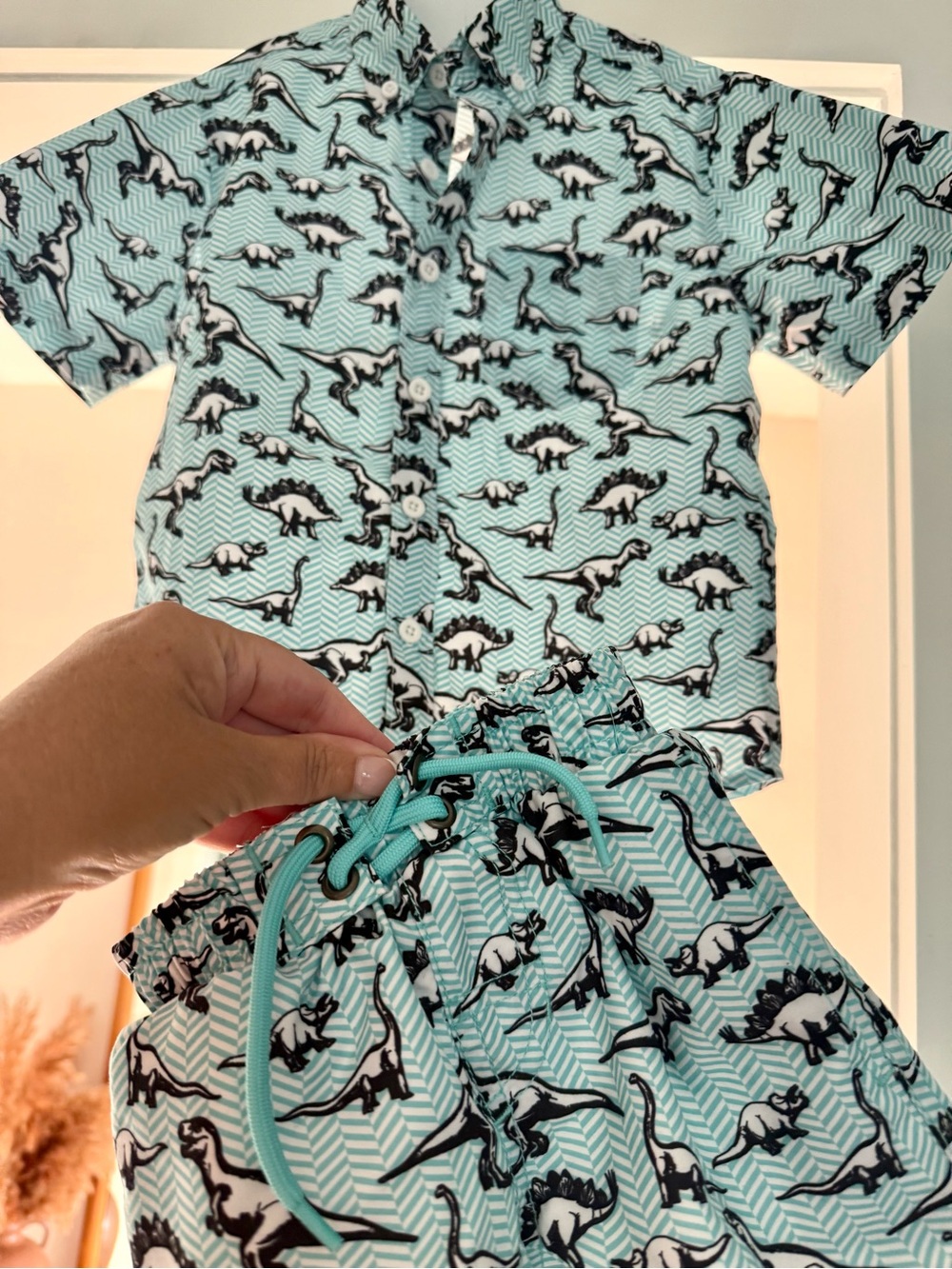 Beach Bros Matching Swim Trunks/Shirt Set Dinosaurs Sz 3T